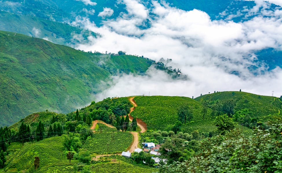 Offbeat North Bengal...