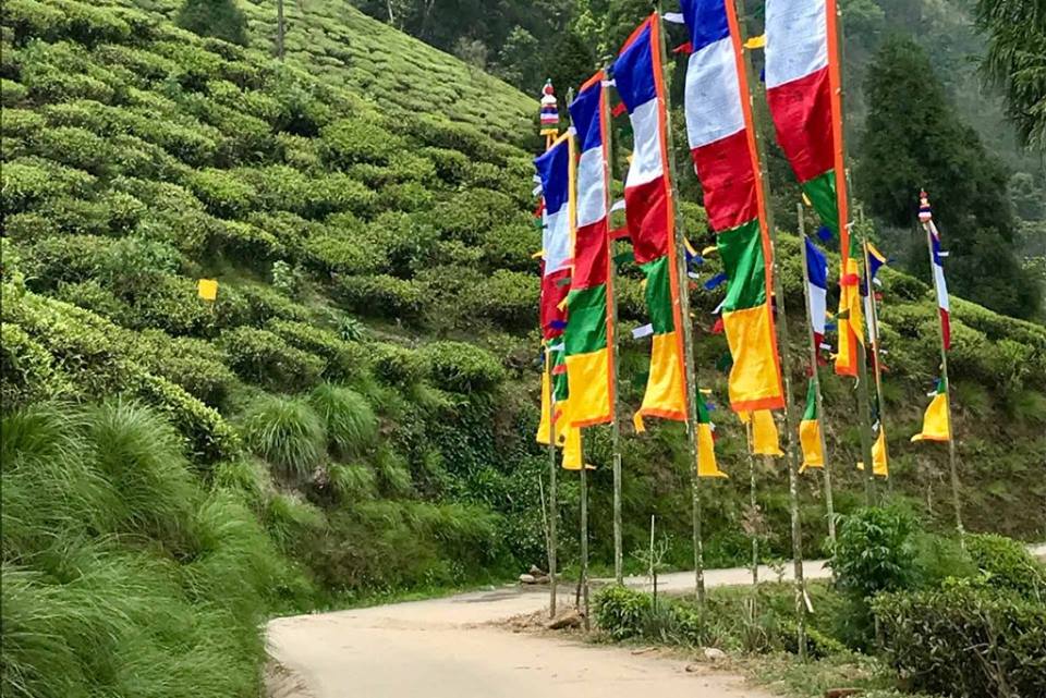 service details image