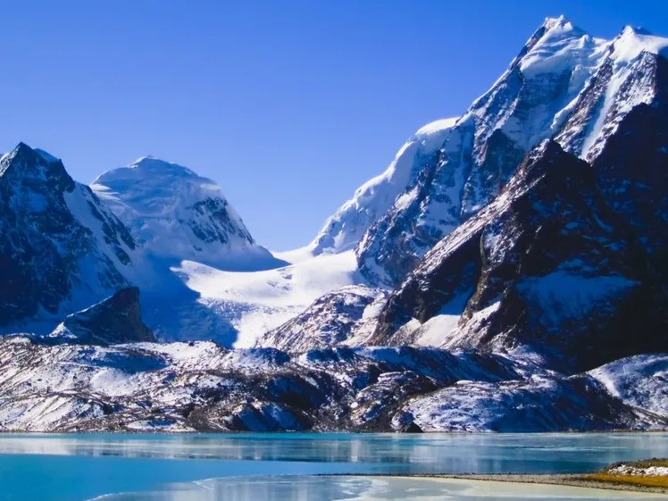 service details image