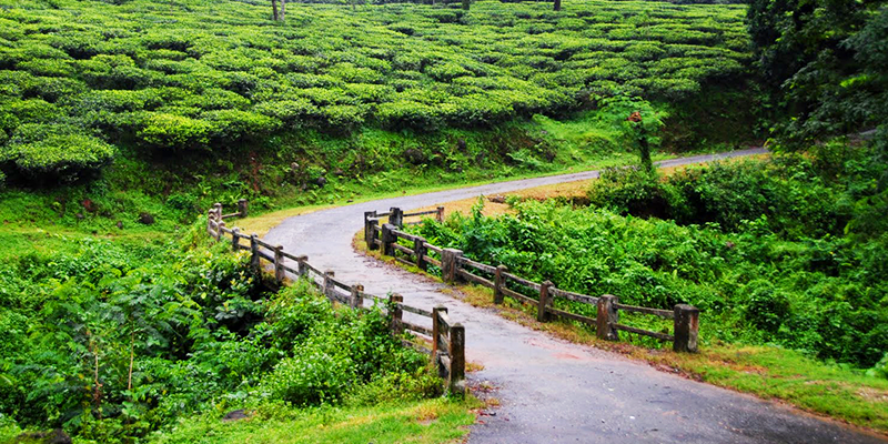 service details image