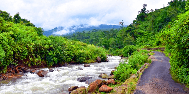 service details image